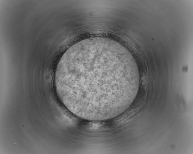 X0000094450662200711291700