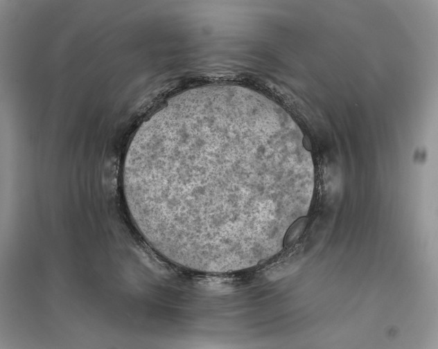 X0000094450664200711291700