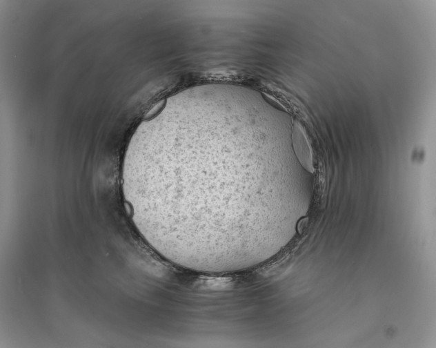 X0000094450665200711291700