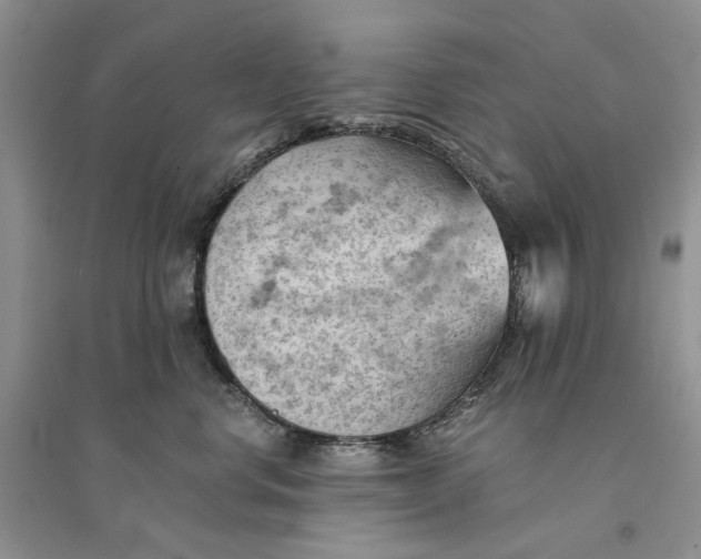 X0000094450668200711291700