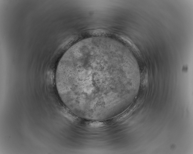 X0000094450669200711291700