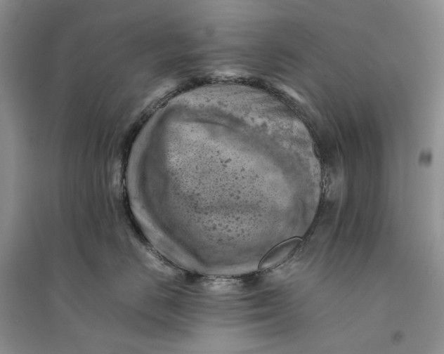 X0000094450670200711291700