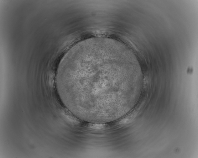 X0000094450671200711291700