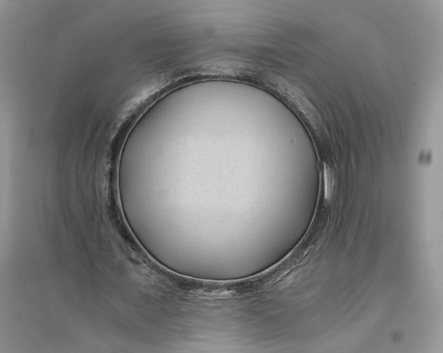 X0000094450675200711291700