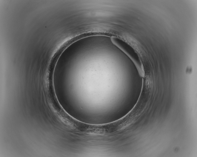 X0000094450676200711291700