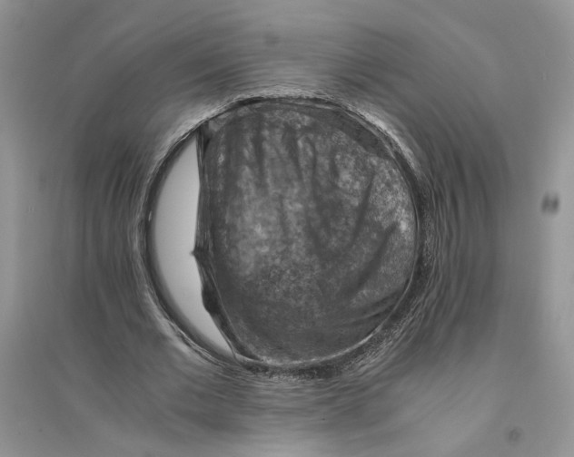 X0000094450677200711291700