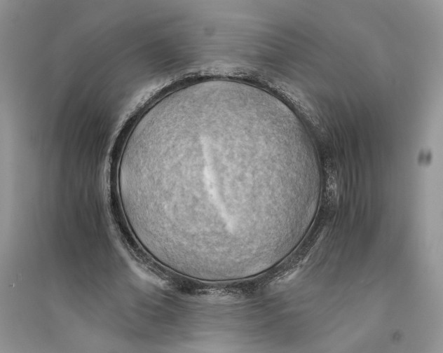 X0000094450678200711291659