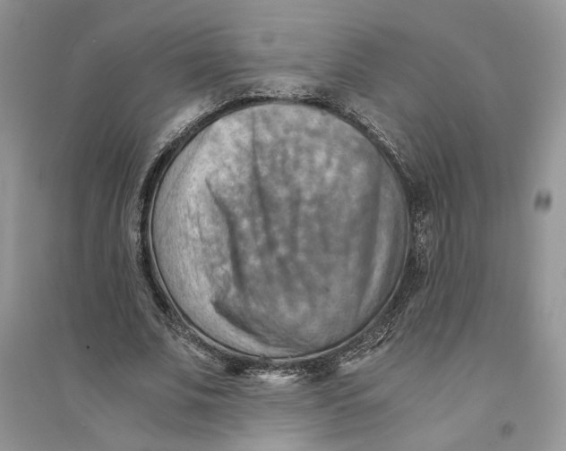 X0000094450679200711291659