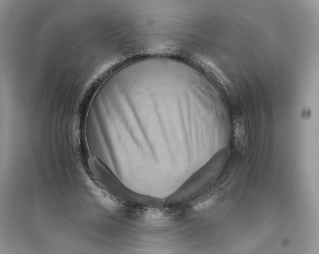 X0000094450684200711291659