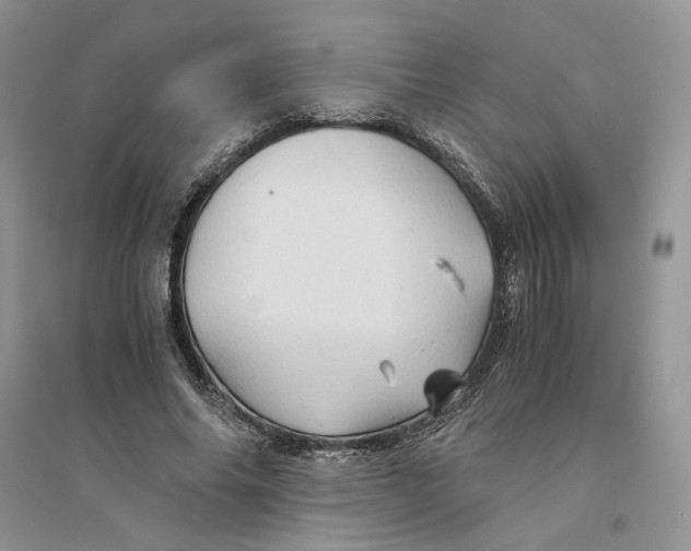 X0000094450686200711291659