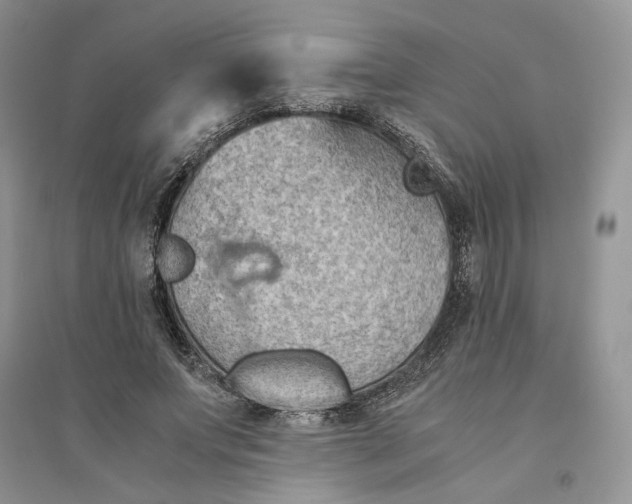 X0000094450687200711291659