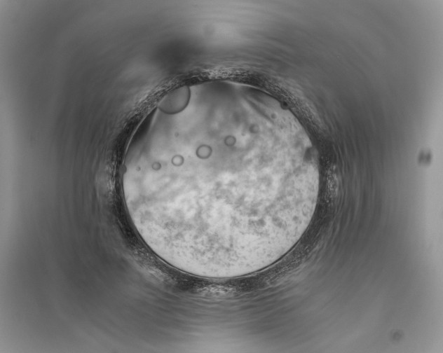 X0000094450691200711291659