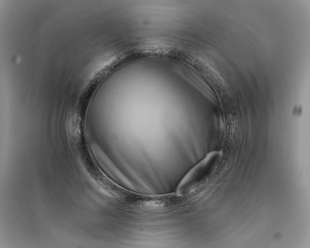 X0000094450692200711291659