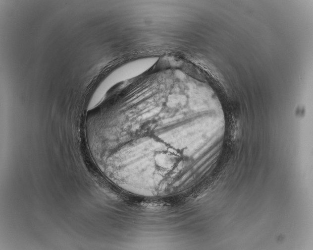 X0000094450693200711291659