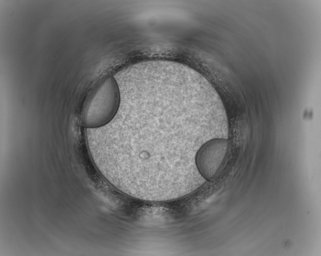 X0000094450695200711291659