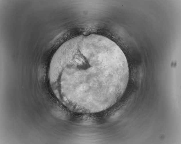 X0000094450697200711291659