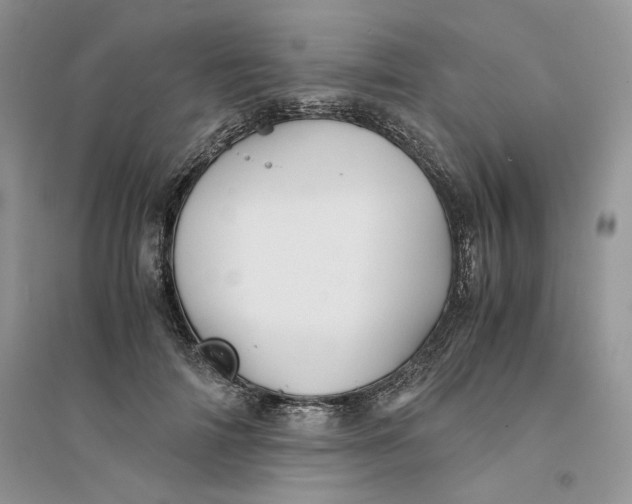 X0000094450698200711291659