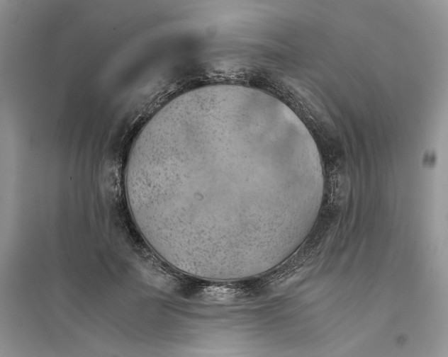 X0000094450699200711291659