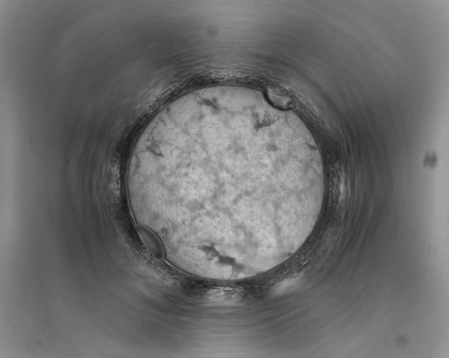 X0000094450700200711291659