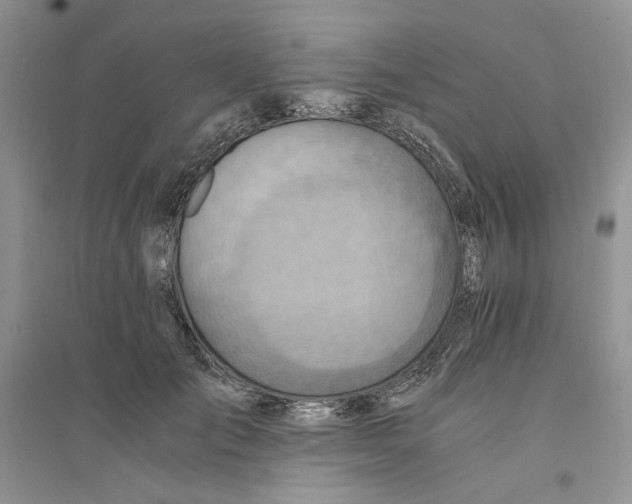 X0000094450701200711291659