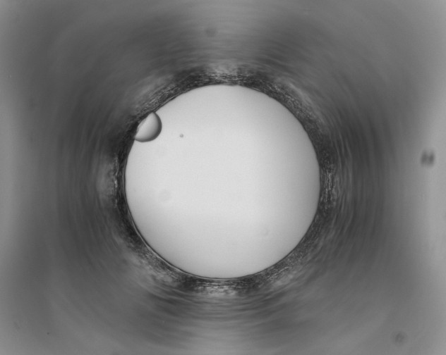 X0000094450702200711291659