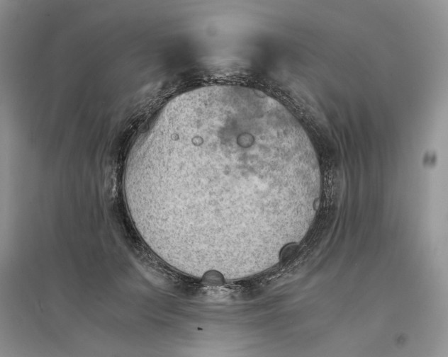 X0000094450703200711291659