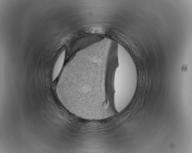 X0000094450704200711291659