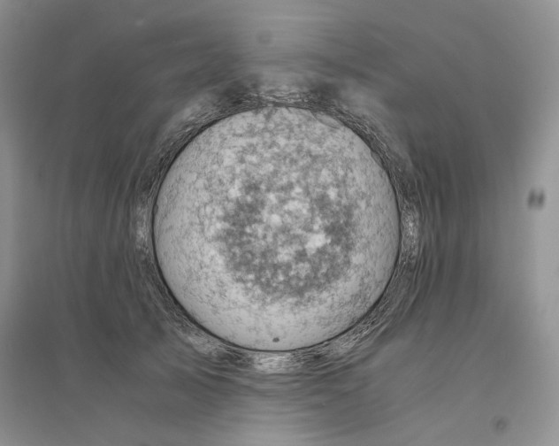 X0000094450705200711291659