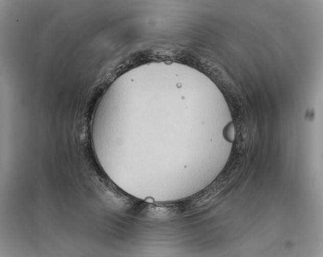 X0000094450706200711291659