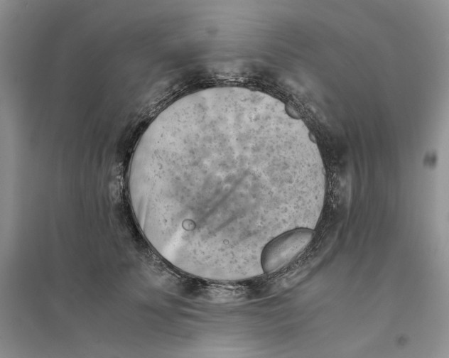 X0000094450707200711291659