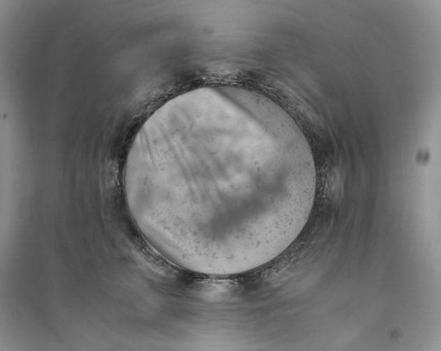 X0000094450711200711291659