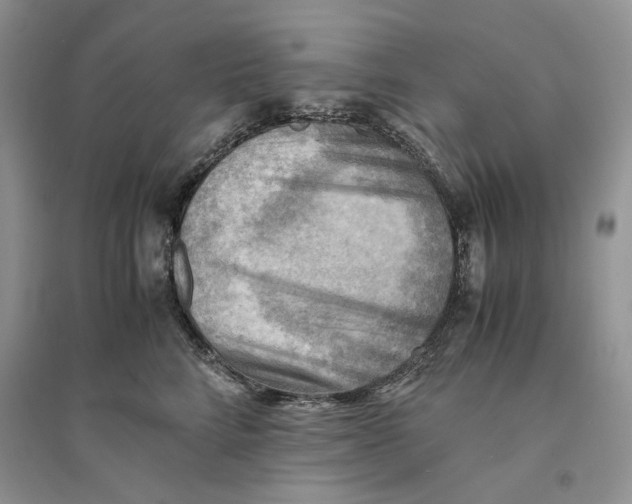 X0000094450712200711291659