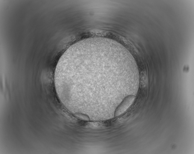 X0000094450713200711291659