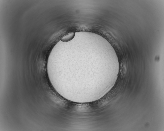 X0000094450714200711291659