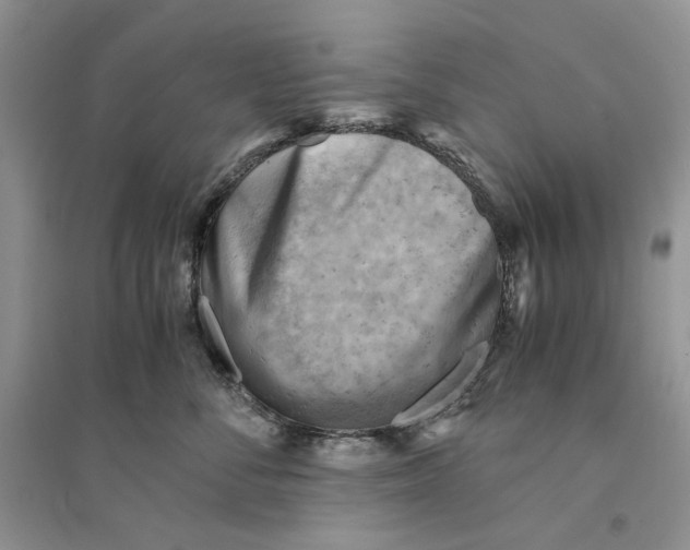 X0000094450716200711291659