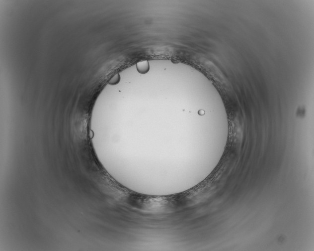 X0000094450717200711291659