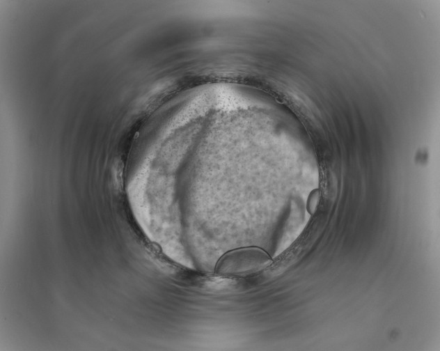 X0000094450718200711291659