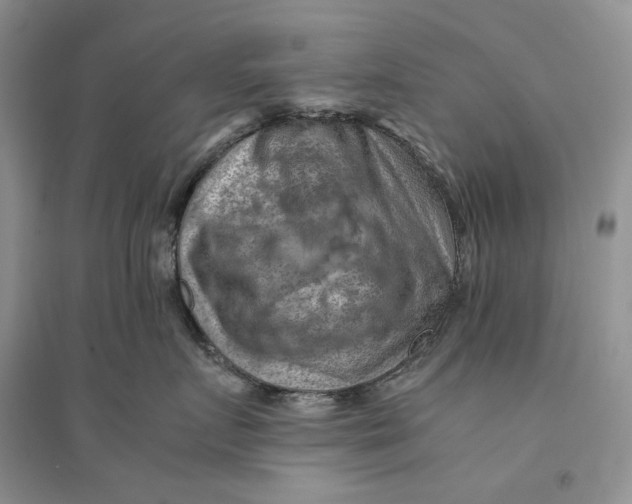 X0000094450719200711291659