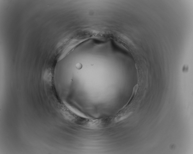 X0000094450720200711291659