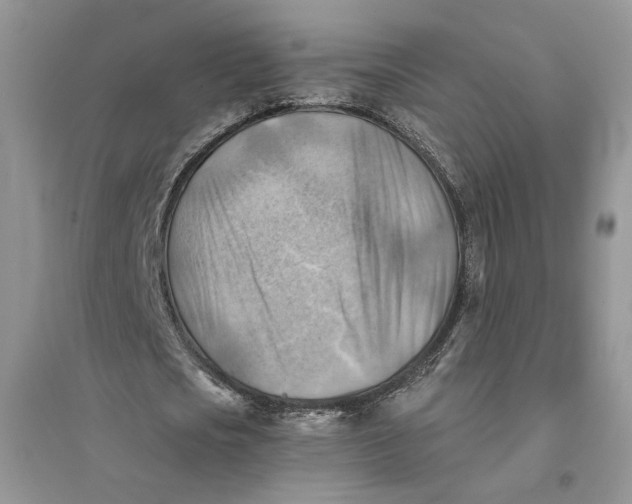 X0000094450721200711291658