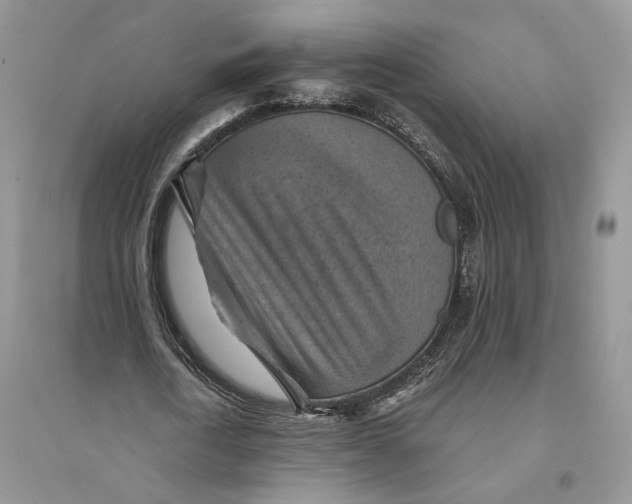 X0000094450722200711291658