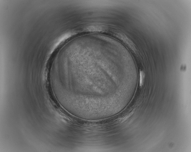 X0000094450723200711291658