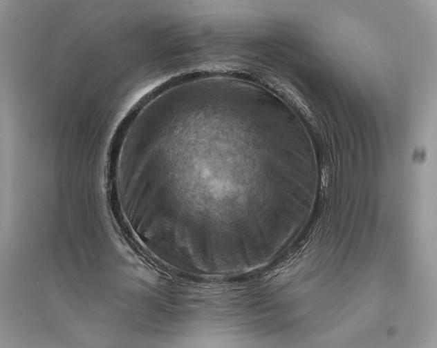 X0000094450724200711291658