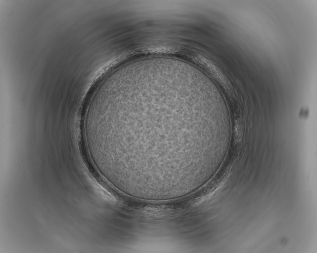 X0000094450725200711291658