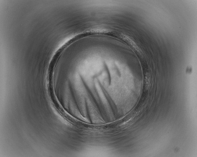 X0000094450726200711291658