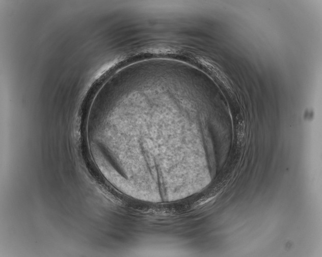 X0000094450727200711291658