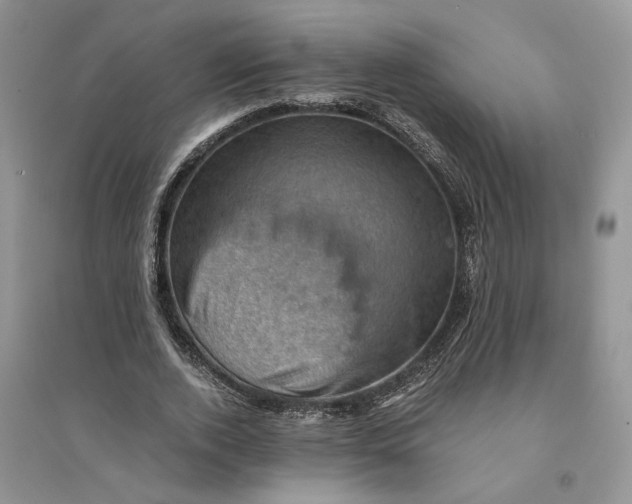 X0000094450728200711291658