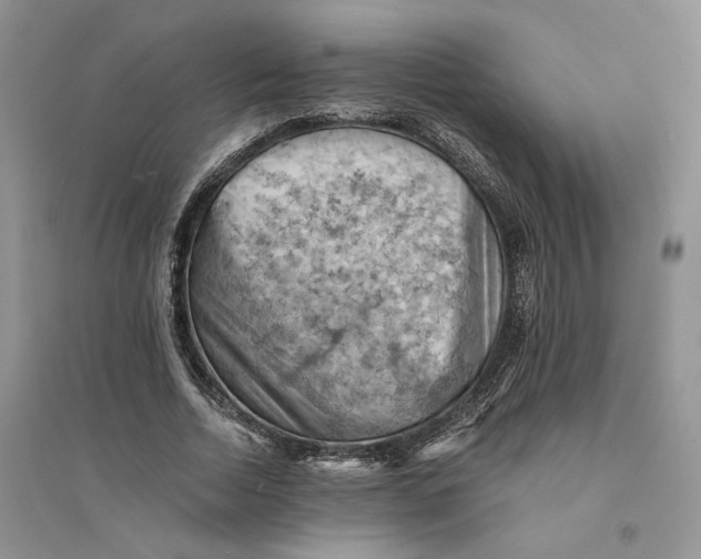 X0000094450730200711291658