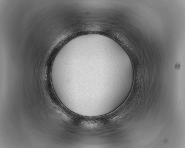 X0000094450731200711291658