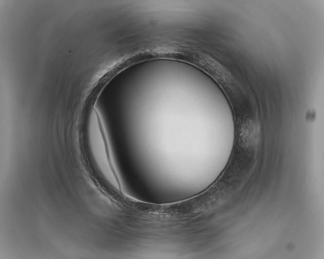 X0000094450732200711291658